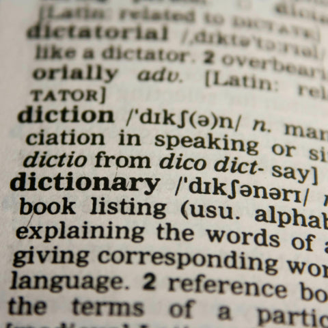 The Politics Of Language