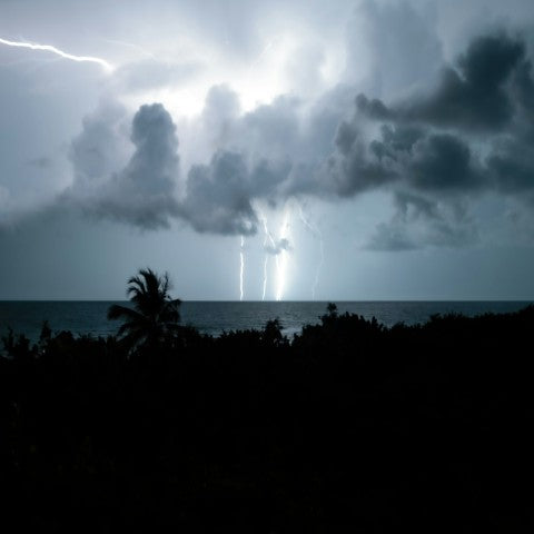 An Indian Monsoon