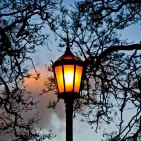 The Streetlamp