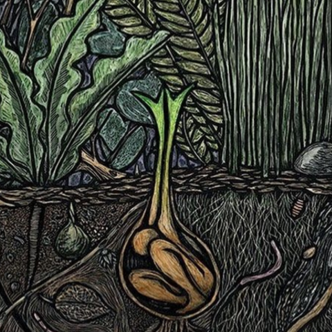 Cries of the seed