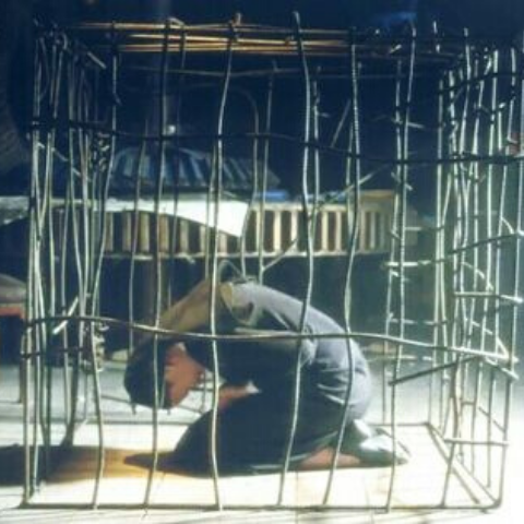 Cage
