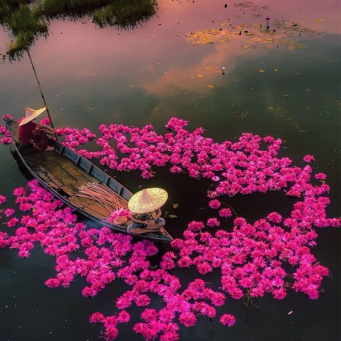 ঢাকের ডাক