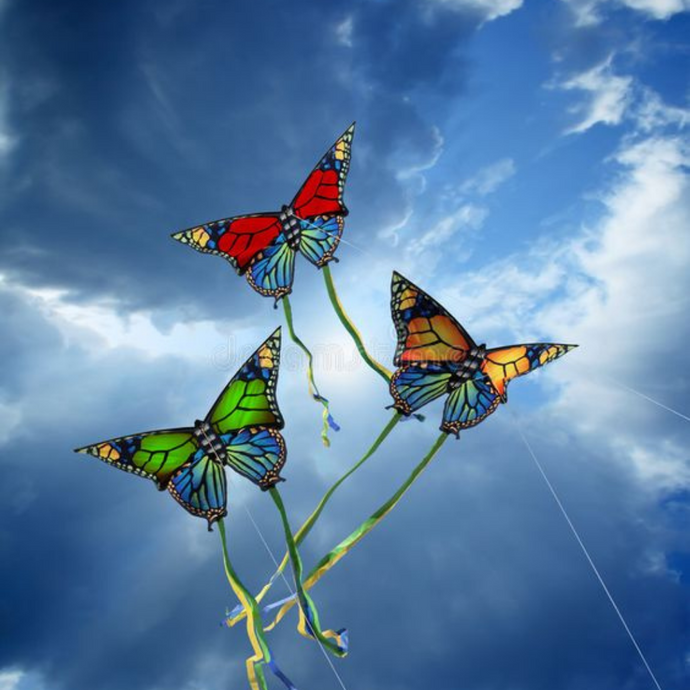The Sky of Kites