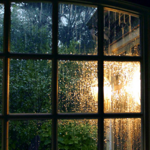 Through My Window