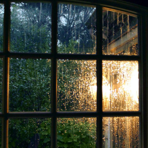 Through My Window