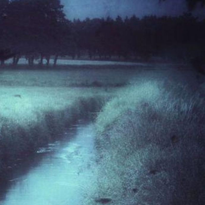 A December Daydream