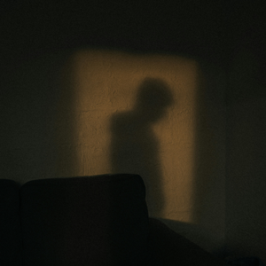 My Shadow and the Cosmos