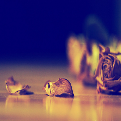 Heart-break