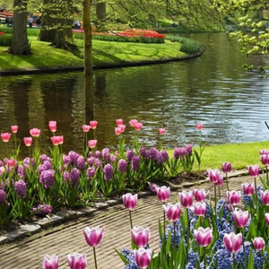 When Spring Found Me