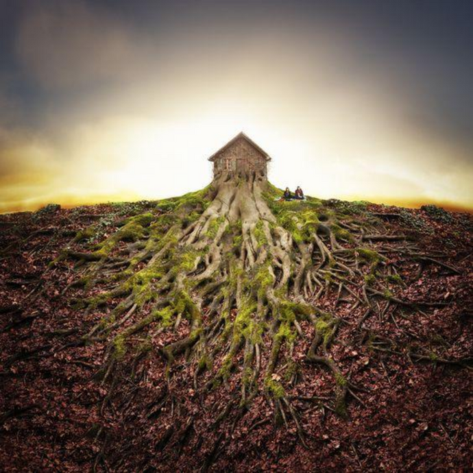 Abandoned Abode