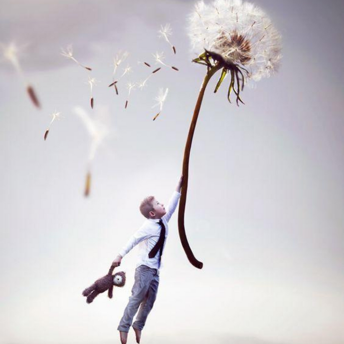 Dream to Invest in Your Happiness
