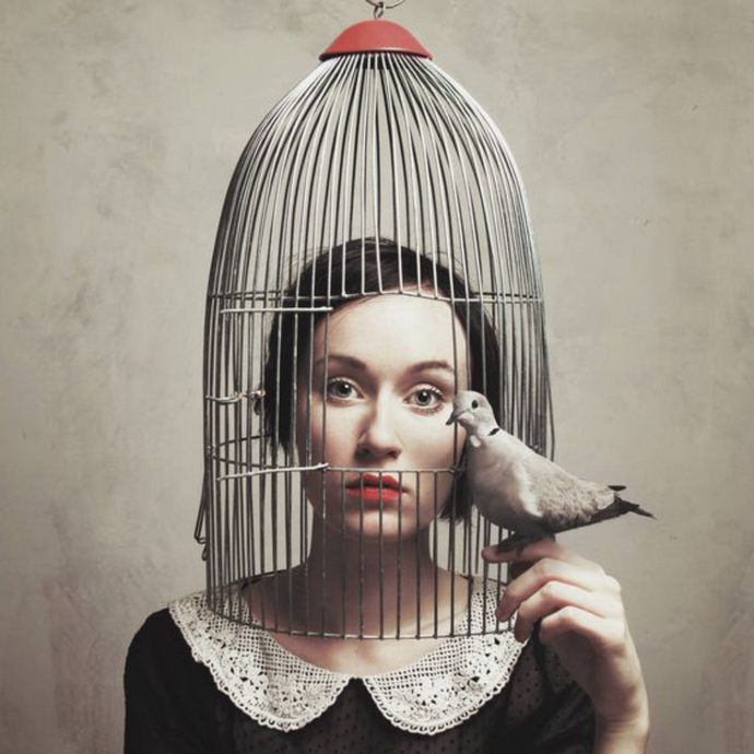 Freedom to dream