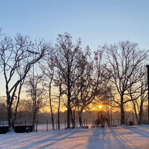 Zephyr's Tale of Seasons
