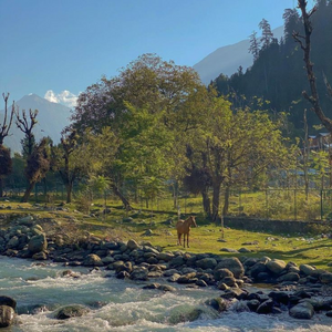 पहलगाम