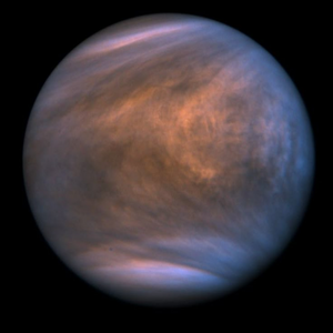 Looking At Venus
